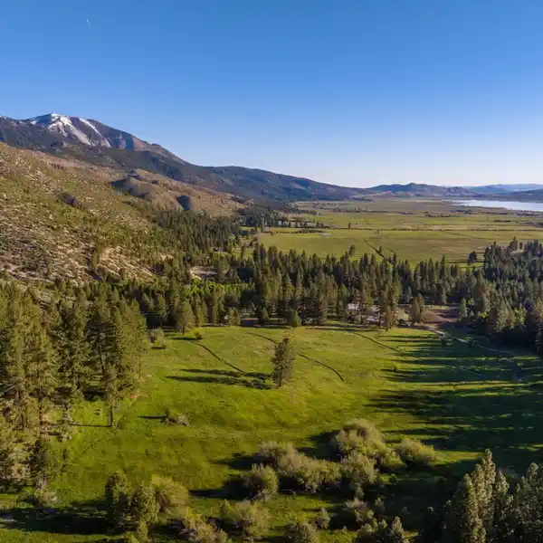 EXCEPTIONAL 82-ACRE ESTATE