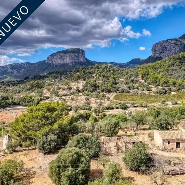 EXPANSIVE PROPERTY OFFERING UNIQUE POSSIBILITIES