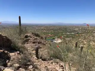 Elevated Estate Site with Panoramic Canyon Views