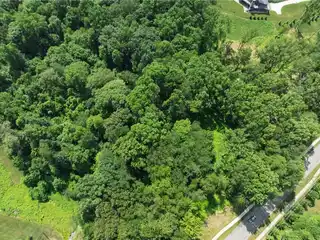 Luxury Living on 3 Wooded Acres Awaits
