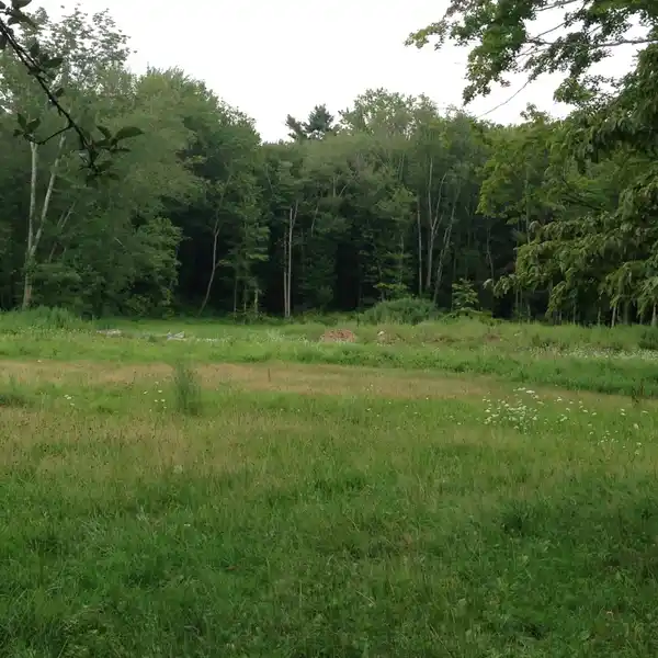 FLAT LAND WITH STONE WALLS