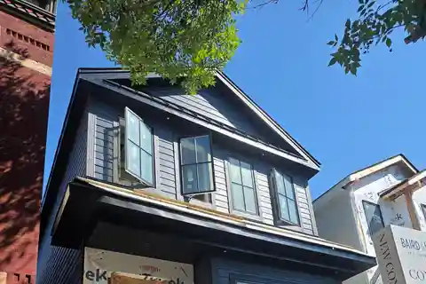 Stunning New Construction in West Town