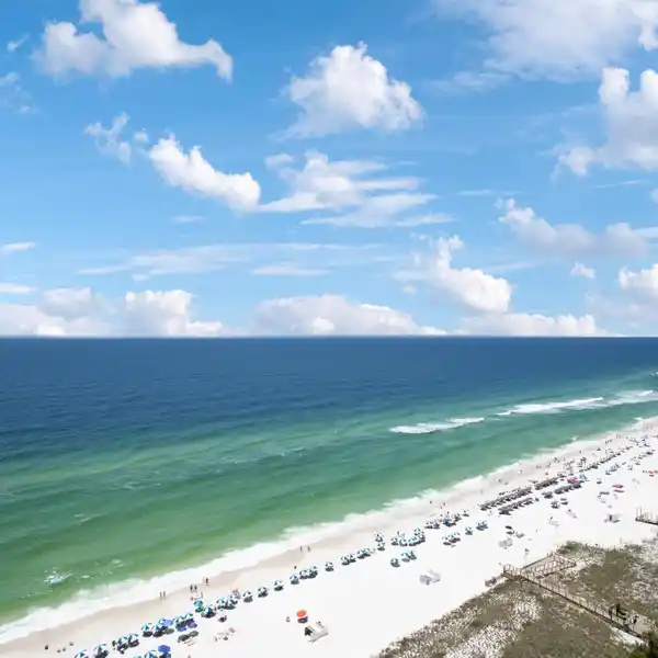 INDIGO - THE ULTIMATE IN BEACHFRONT LIVING
