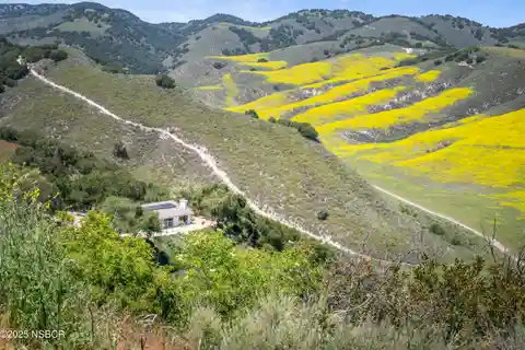 Tranquil Elegance Amidst Panoramic Wilderness