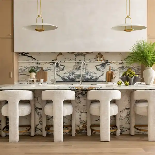 NEWLY COMPLETED TRANSITIONAL STYLE RESIDENCE