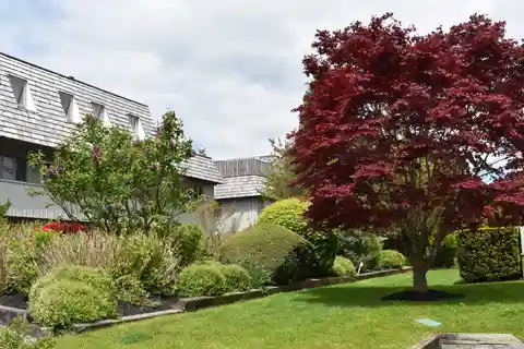 Charming Condo Close to Everything