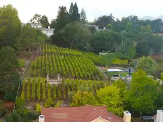 Spacious Home with Vineyard and Beautiful Hillside Views