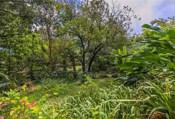 BEAUTIFUL LOT WITH APPROVED BUILDING PLANS