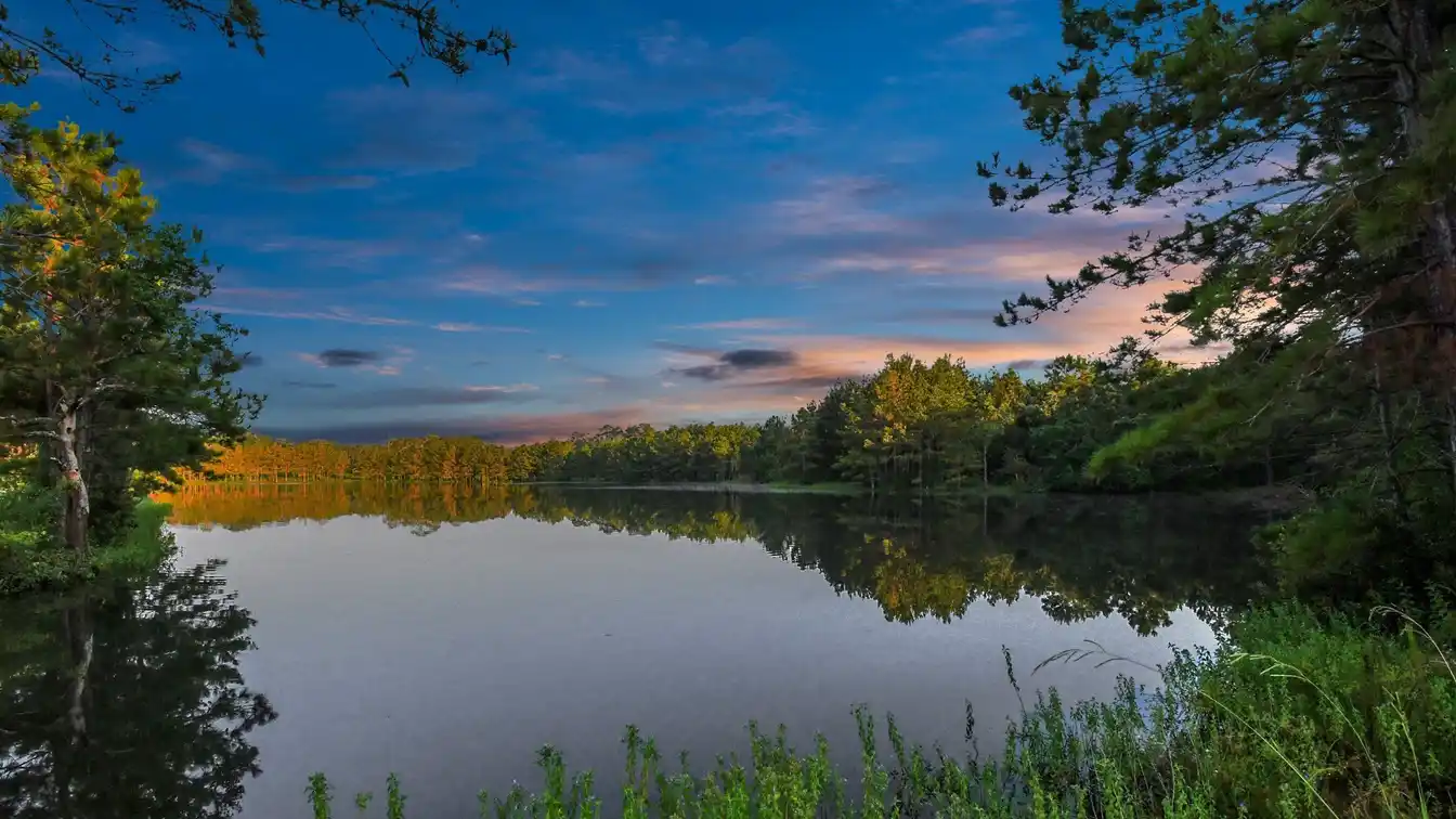 30 Acres of Endless Possibilities
