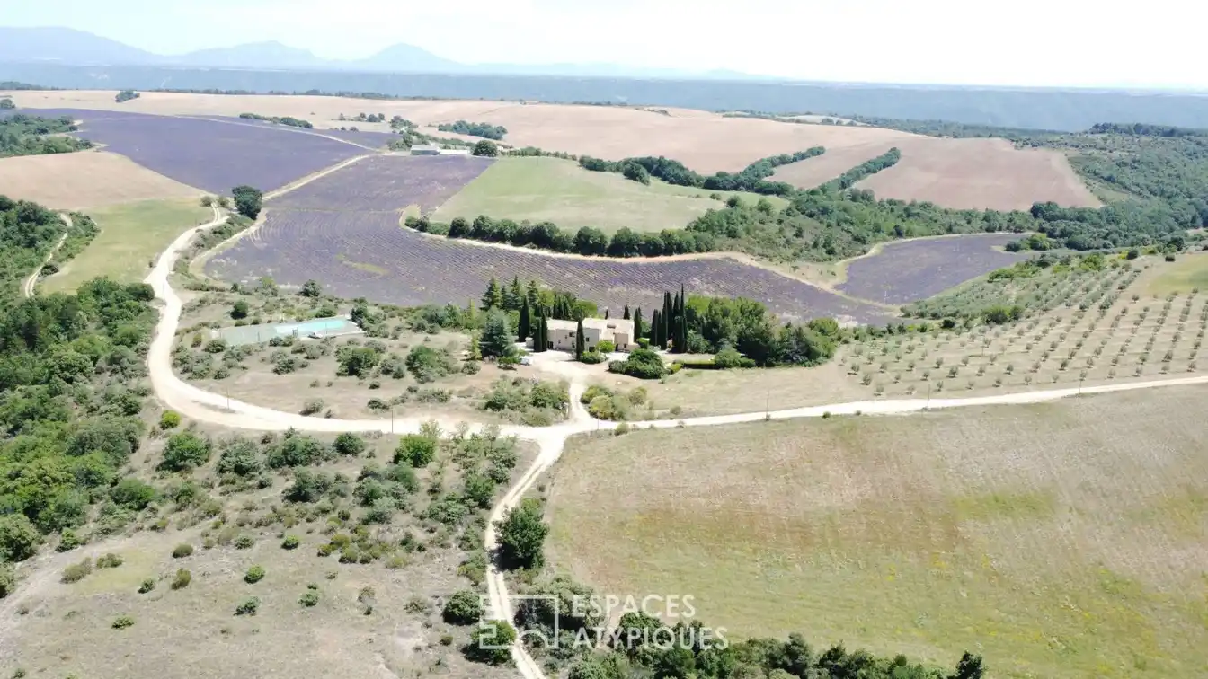 An Idyllic Provencal Art of Living