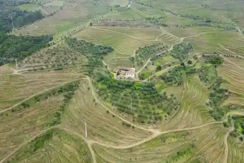Exceptional Vineyard Property