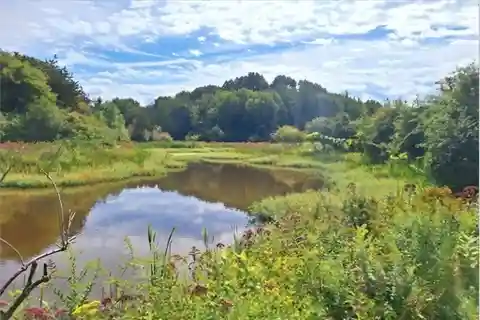 Picturesque 5.7-acre Lot Ready to Build Your Dream Home