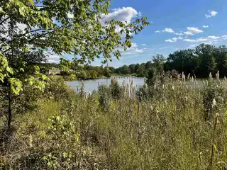 27.5 Acres Overlooking Private James Lake