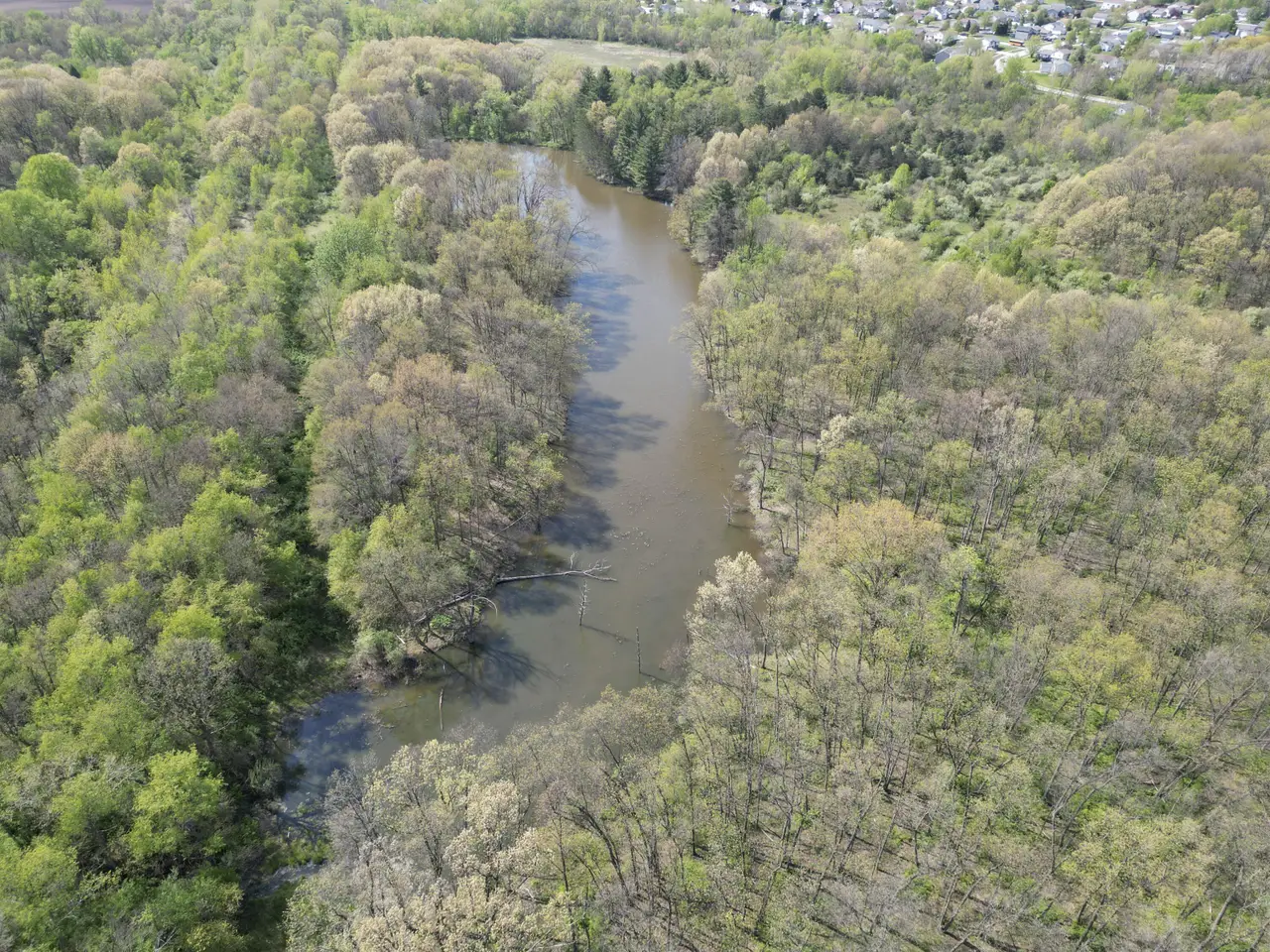 Large Image