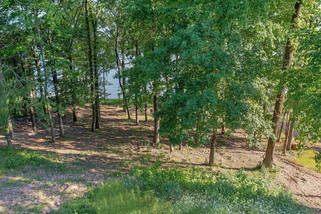 Large Image