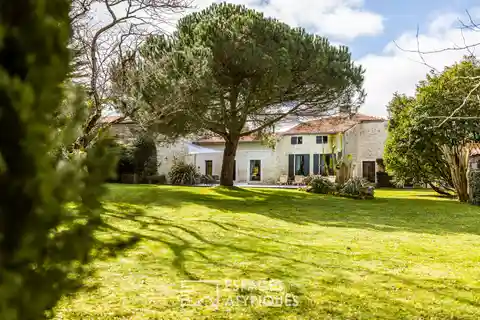 Countryside Oasis with Modern Comforts