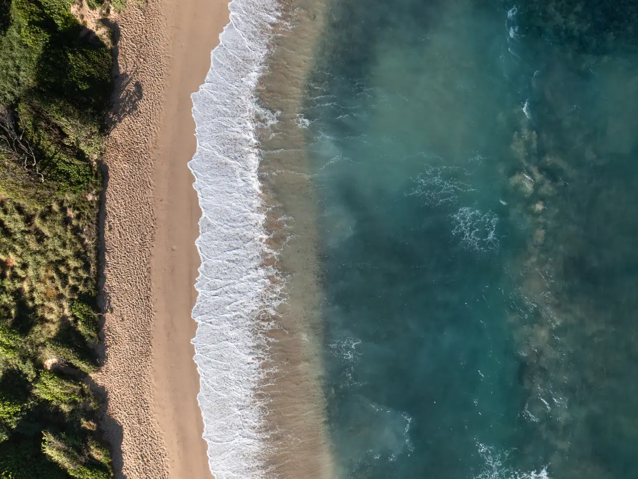 Large Image