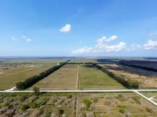 Versatile 86 Acres in Prime Location
