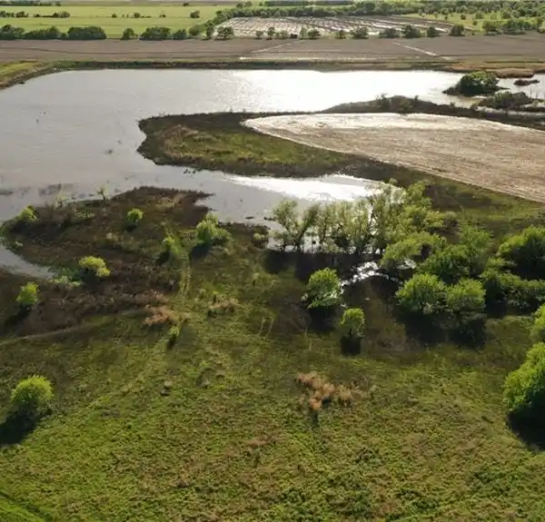 VERSATILE 370 ACRES THAT HAS IT ALL