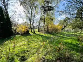 Living on One Level Spacious Bungalow in a Picturesque Field Edge Location