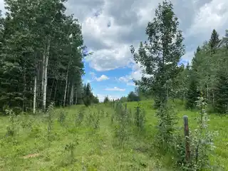 Rare Land Opportunities in the Foothills of Alberta
