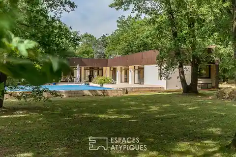 Timeless Design Amidst Nature’s Grand Canvas