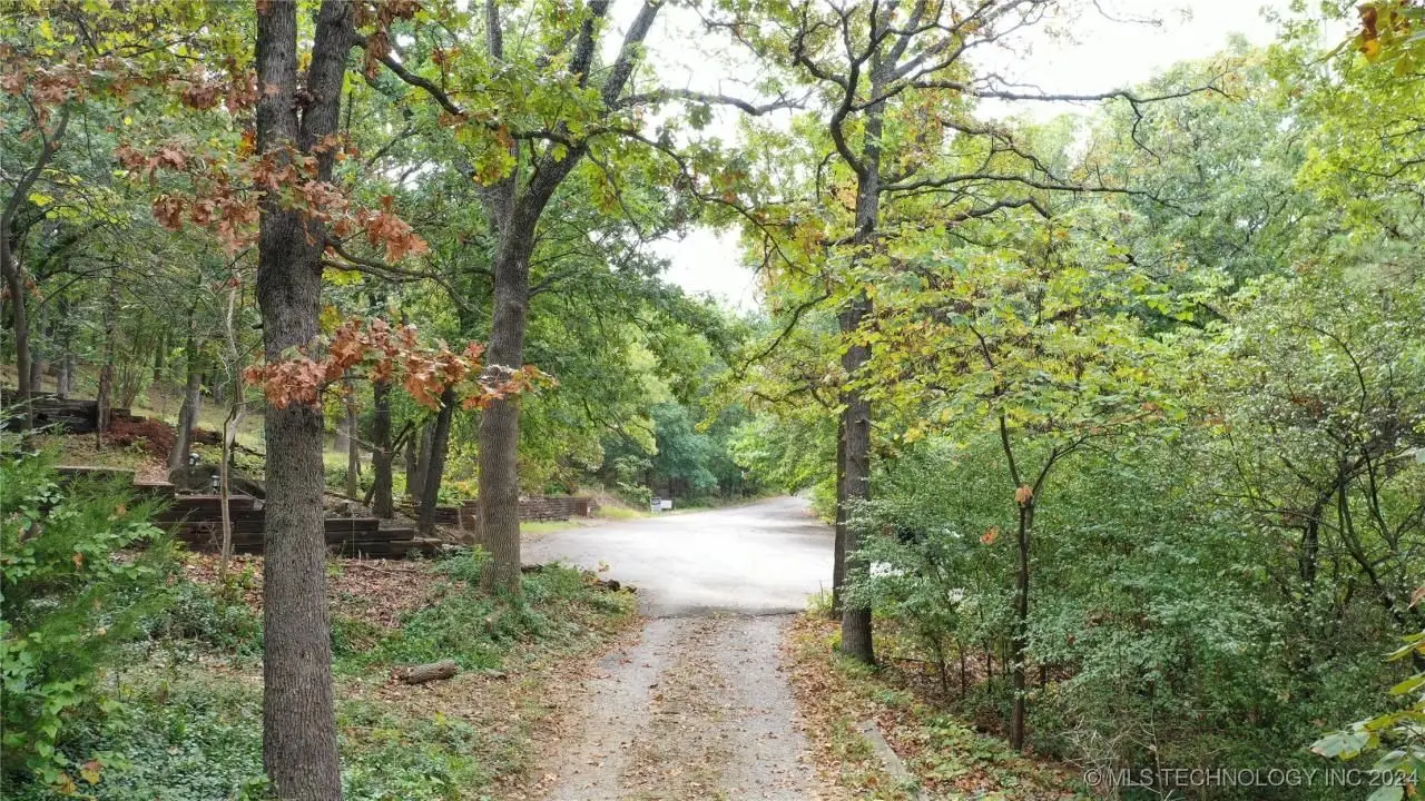 Large Image