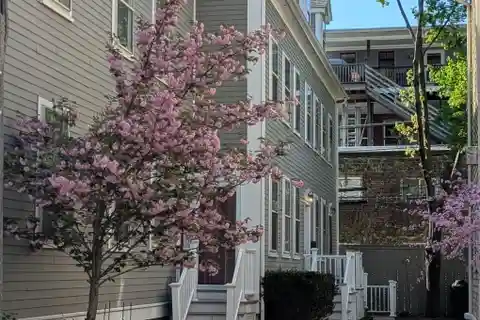 Charming Townhouse in Brookline Village
