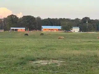 26-Plus-Acre Retreat with a Newly Built Home