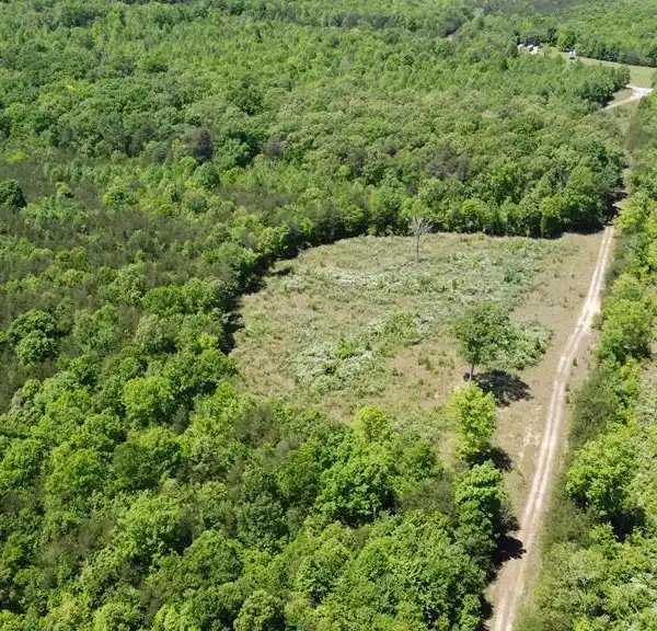310 ACRES OF BEAUTIFUL WOODLAND