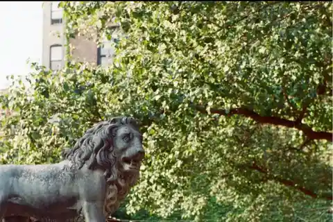 Bright One Bedroom Apartment in the Middle of Nolita/soho