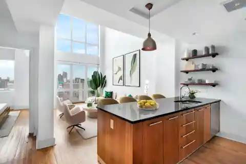 Williamsburg Penthouse on the Park