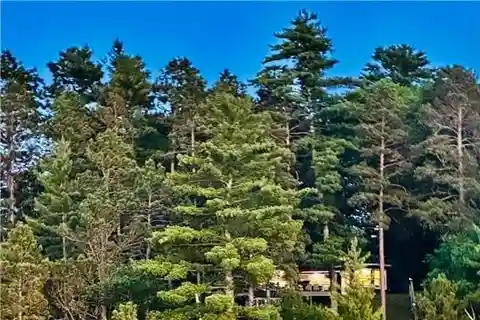 Charming Cabin with Beach on Big Trout Lake