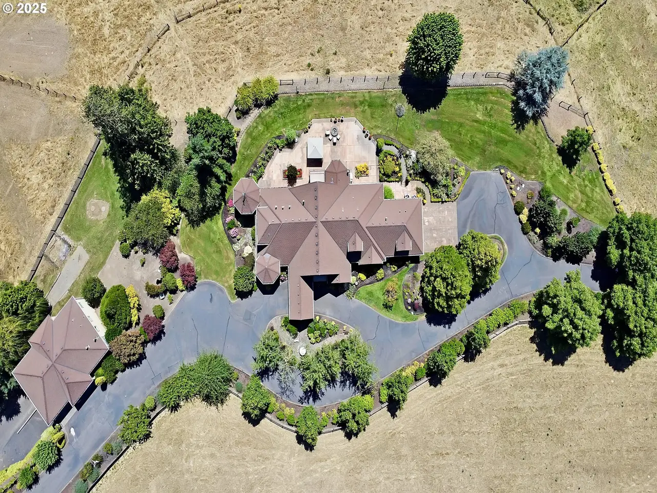 Large Image