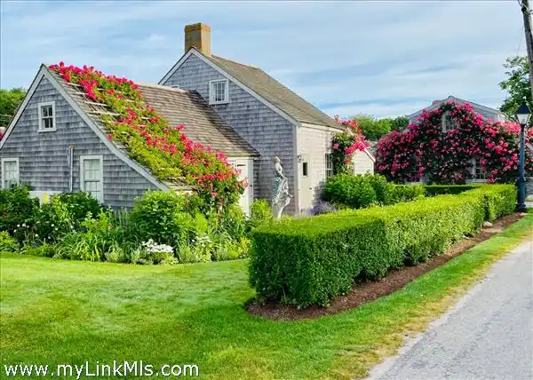 SHANUNGA - ANTIQUE ROSE-COVERED COTTAGE