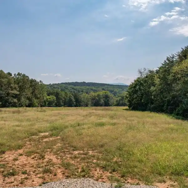 NEARLY 59 ACRES OF PRISTINE LAND