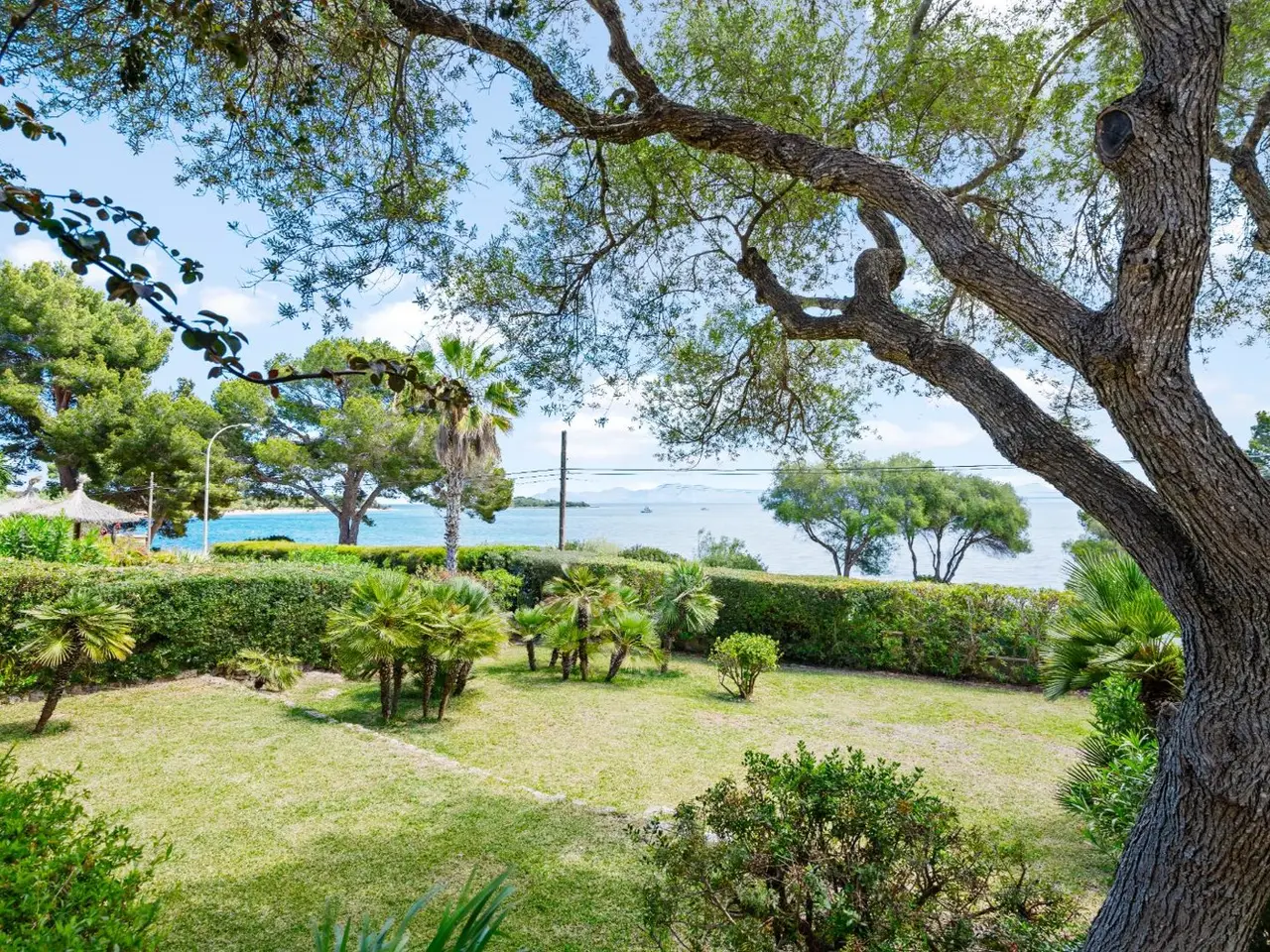 Large Image