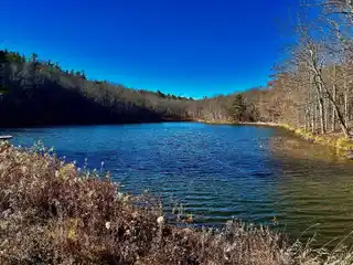 517 Acres for Active Country Living