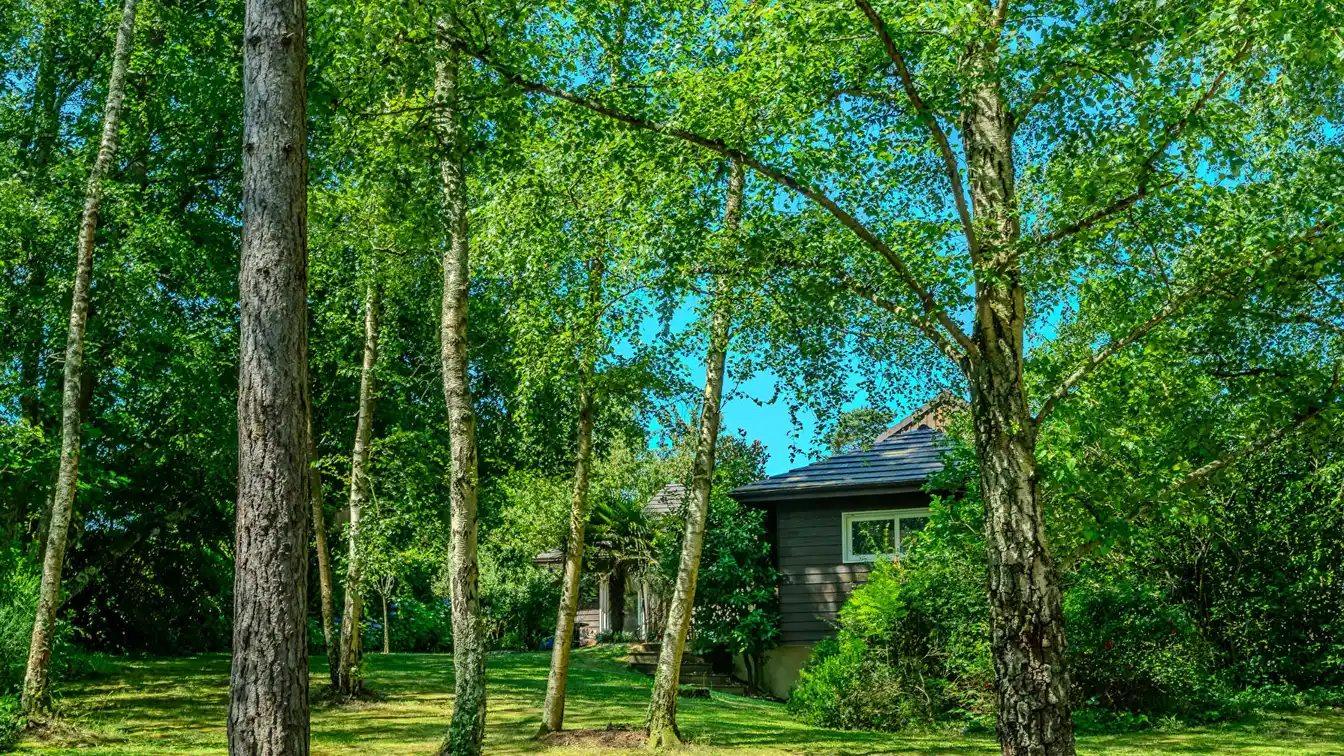 Magnificent Home in a Quiet Treed Setting