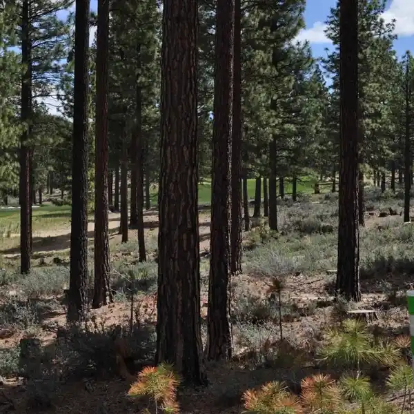 HOMESITE IN THE MOST EXCITING NEW MOUNTAIN COMMUNITY