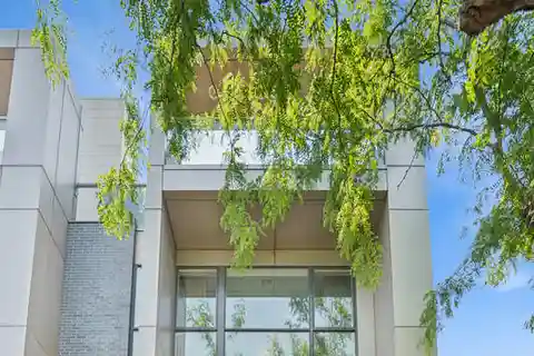 Lincoln Park Corner Home with Dream Roof Deck
