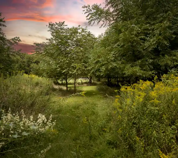 EXPANSIVE WATERFRONT ACREAGE WITH ENDLESS POSSIBILITIES