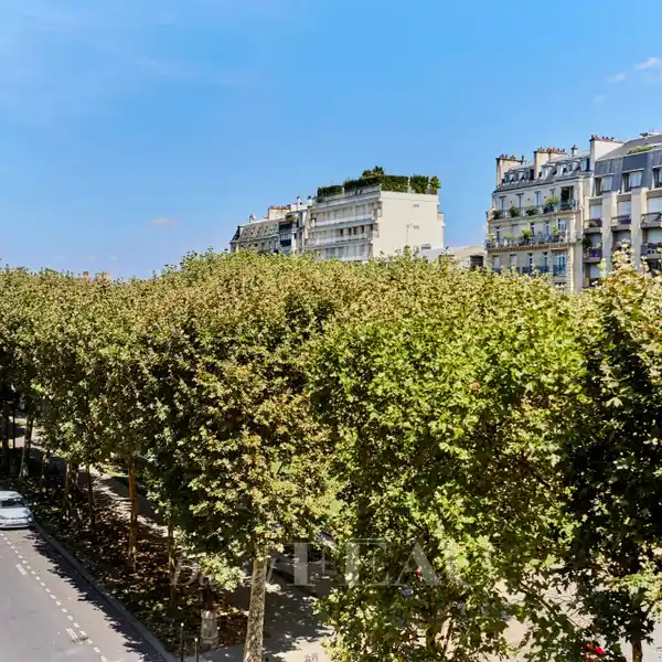 ARTIST'S STUDIO BATHED IN SUNSHINE