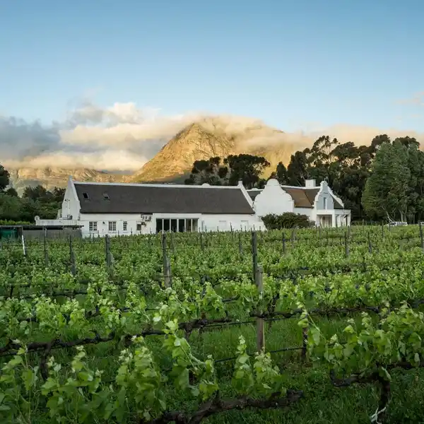 FRANSCHHOEK'S HIDDEN GEM - A UNIQUE WINE FARM