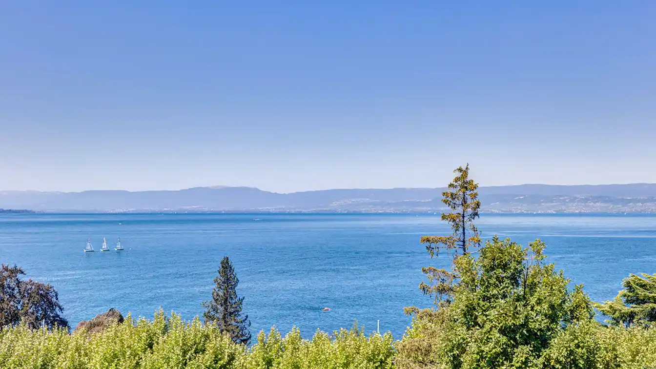 Lush Property with Beautiful Lake Panorama