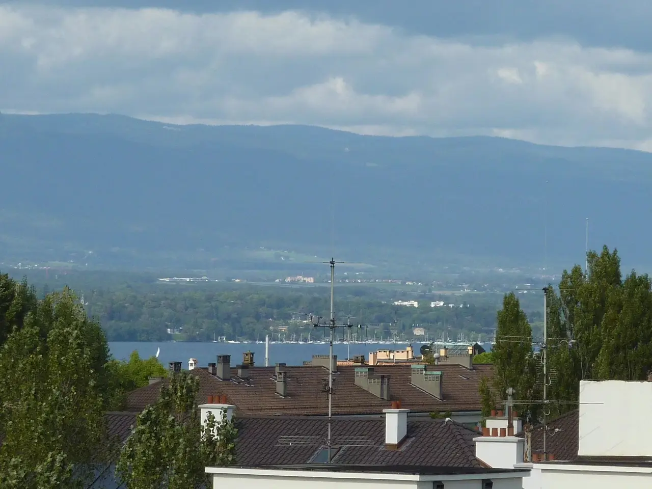 Small Image