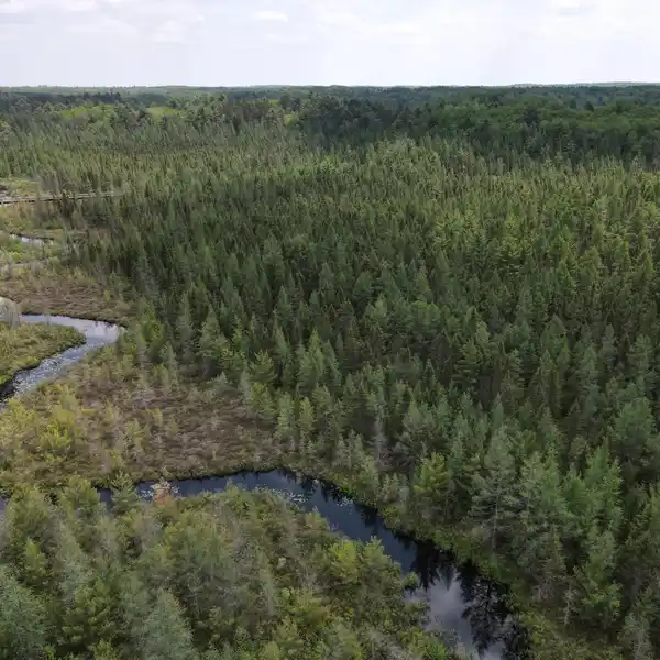 RARE 430-ACRE NORTHWOODS PROPERTY