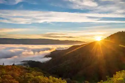 Madrone Ridge