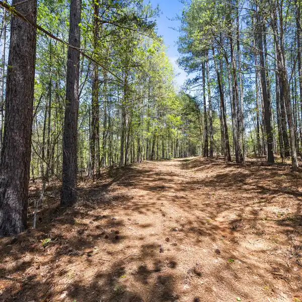 RARE 77-ACRE PROPERTY