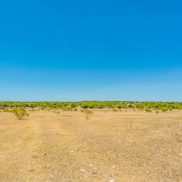 SPRAWLING 1,600-ACRE LAND OPPORTUNITY IN CRESSON